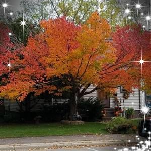 Meet your Posher, Kerry